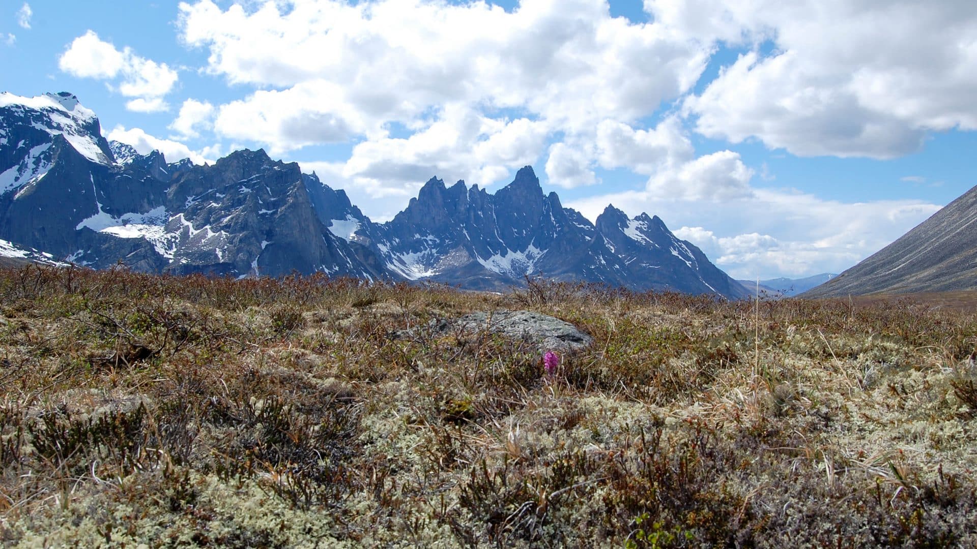 Patagonia des Nordens - Trekking Tombstone Mountain