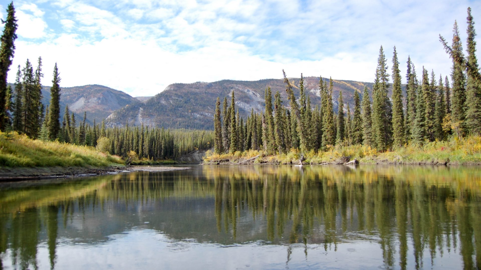 Der Klondiker - Big Salmon River - mirroring