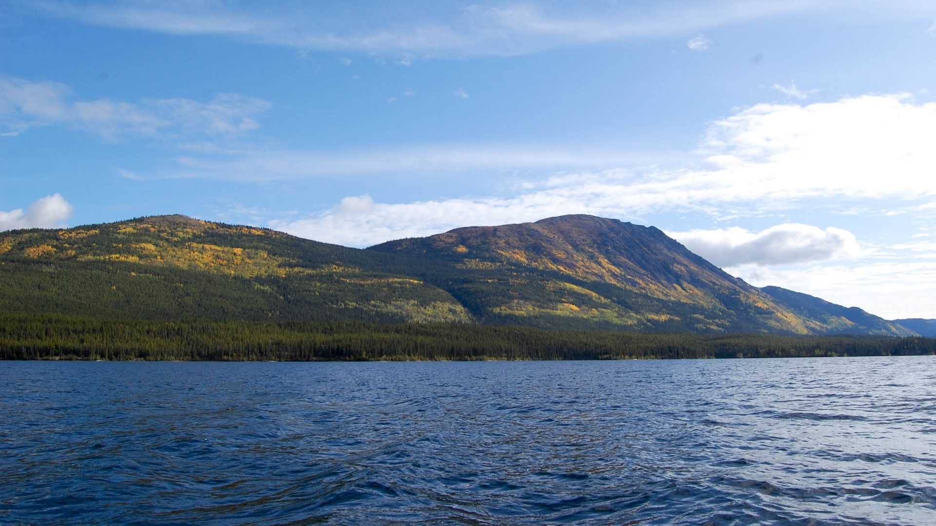 Der Klondiker - Big Salmon River - on the river