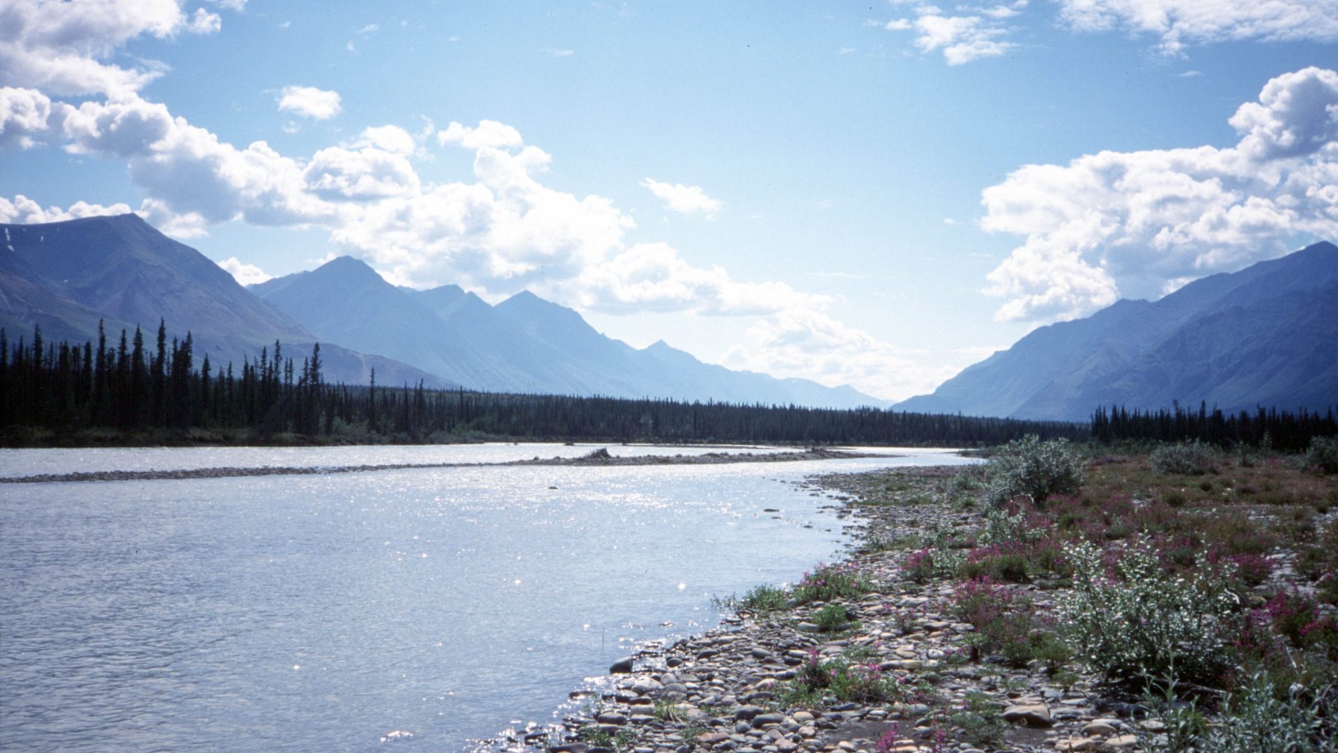 The Yukon Explorer - Snake River - beautiful river