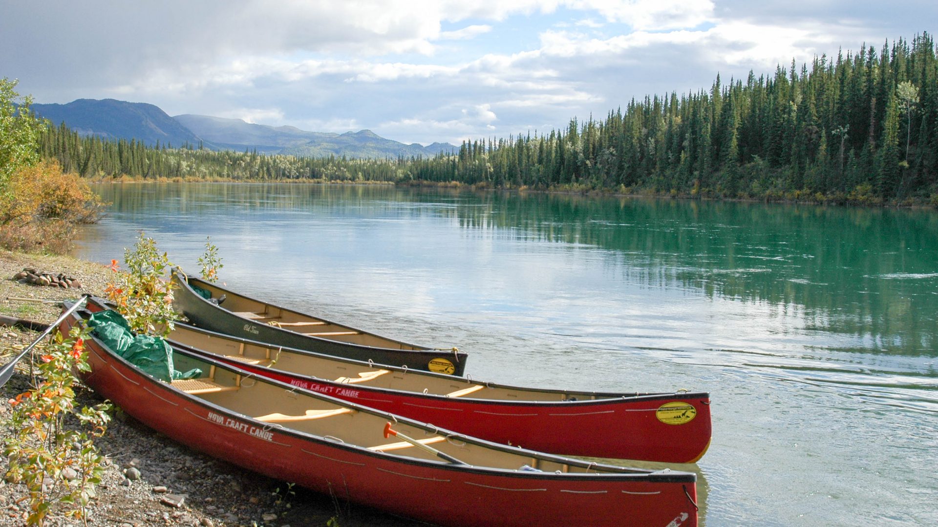 Excursion de fleuve de Yukon | Lac Laberge ‡ Carmacks