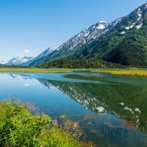 Best of Yukon and Alaska: Round-trip Sightseeing Tour from Whitehorse