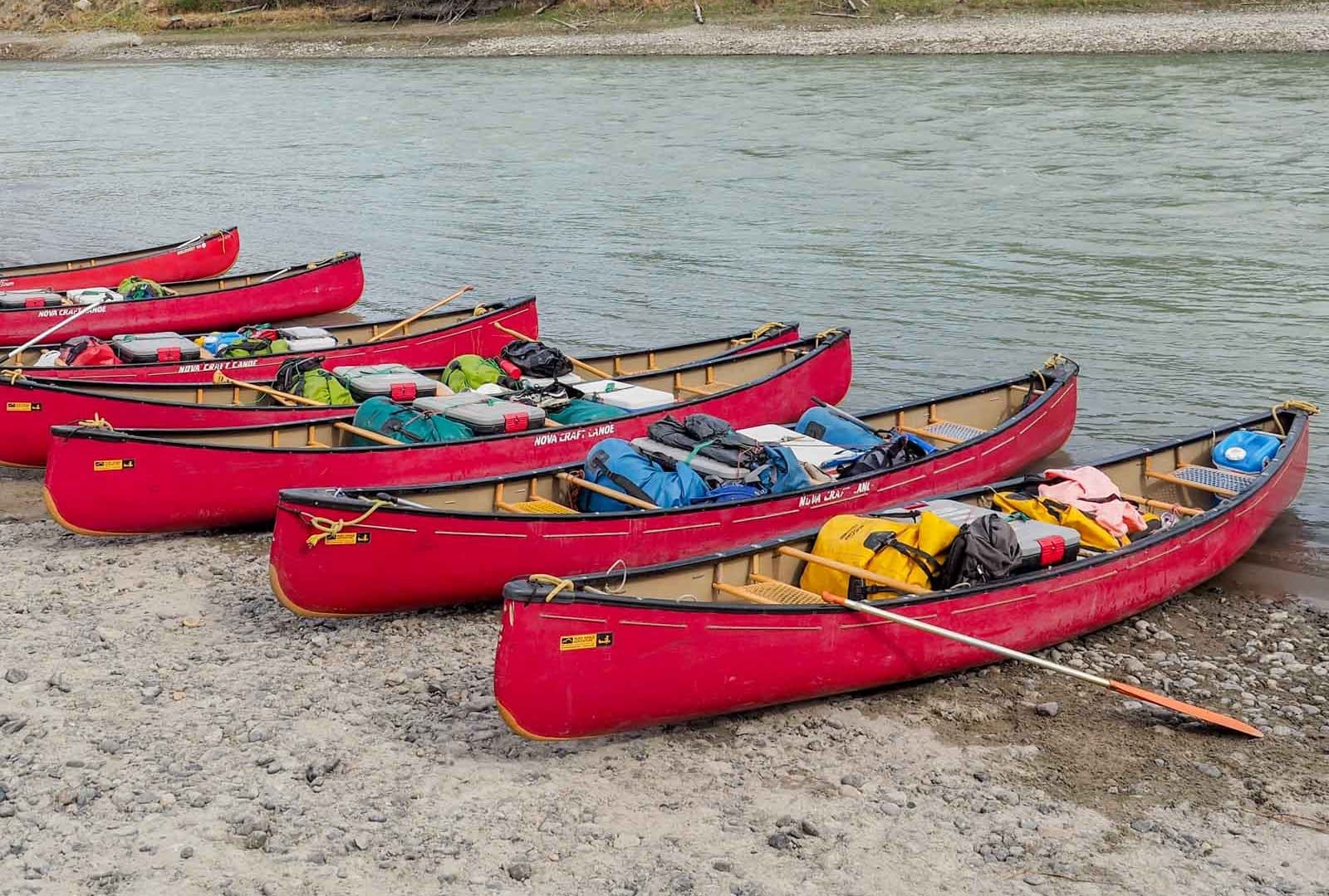 Excursion de fleuve de Yukon | Lac Laberge ‡ Carmacks