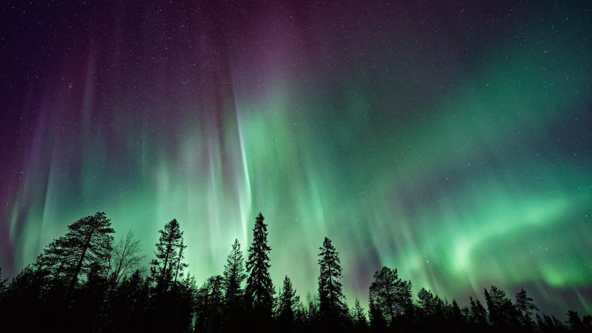 Yukon Northern Lights