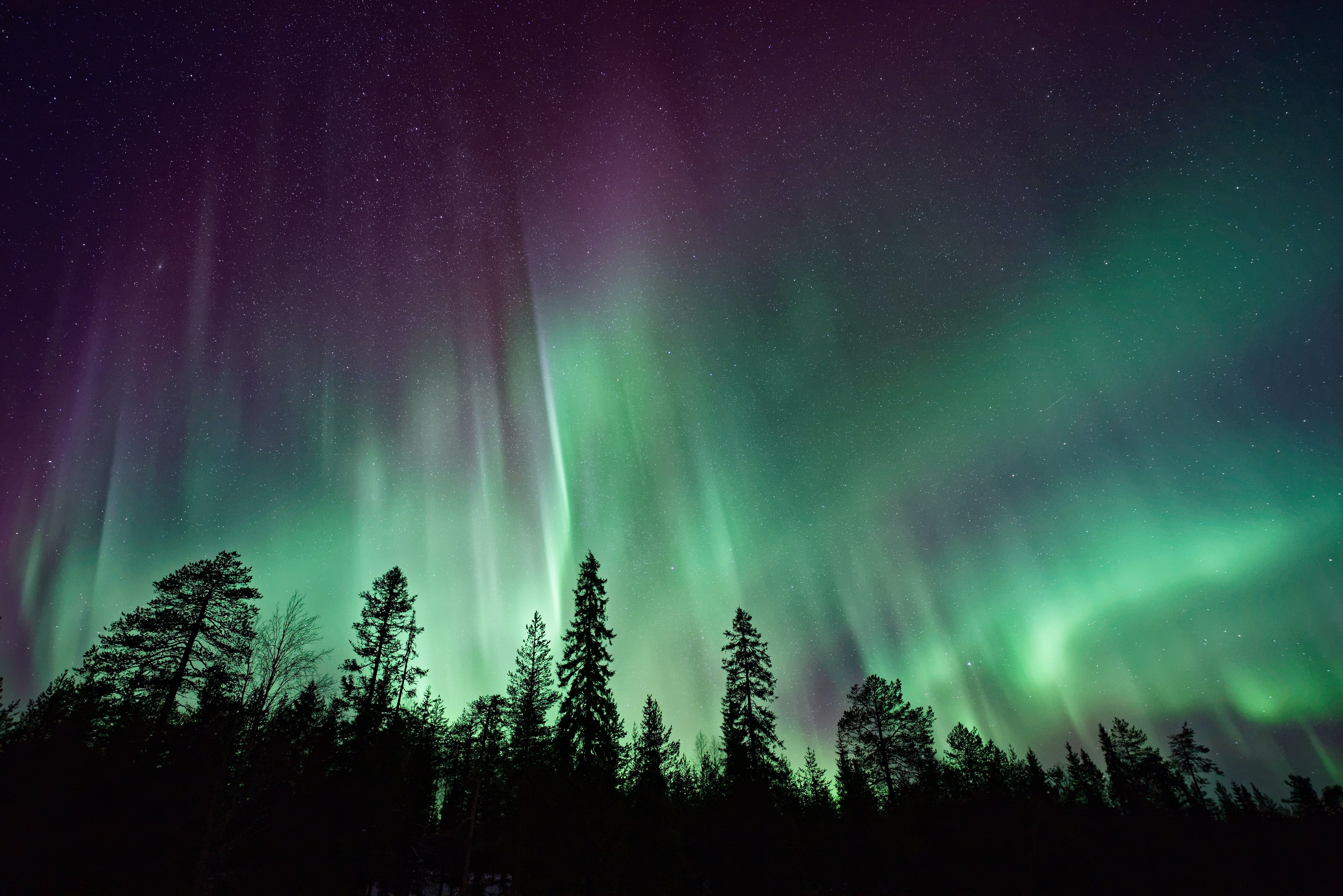 Yukon Northern Lights