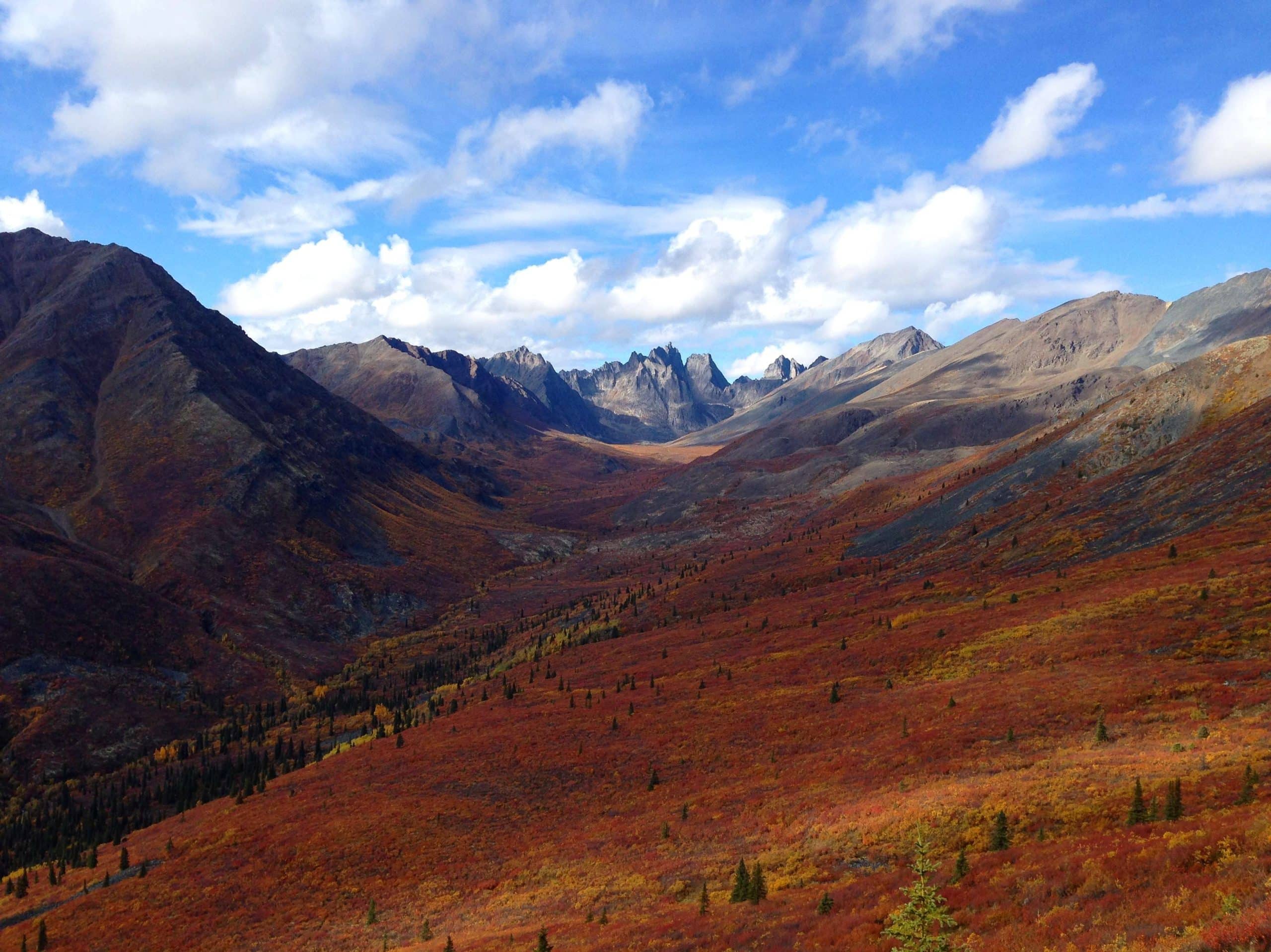 Yukon Tombstone Park